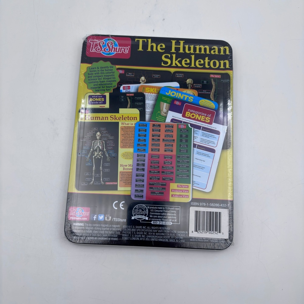 T&S Shure The Human Skeleton STEM Magnetic Tin Learn Identify Bones - Picture 2 of 3